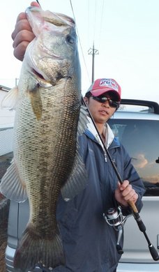 しょーたくん47cm.jpg