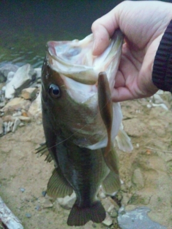 冬のオカッパリで釣れるリグ.jpg