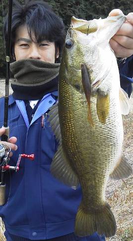 冬の野池でデカバス.jpg