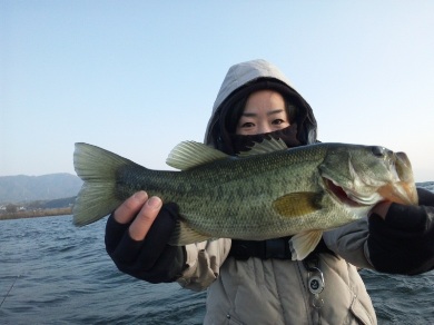 初バス ジャスターフィッシュのジグヘッド パープルウィニー.jpg