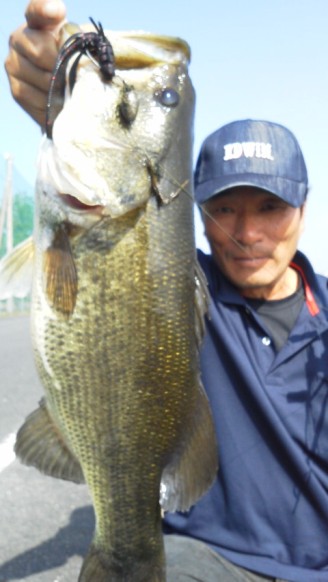 琵琶湖でオカッパリ、木浜のカバー.jpg