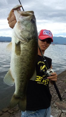 琵琶湖東岸オカッパリで55cm.jpg