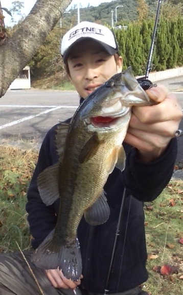 野池でテキサスリグ.jpg
