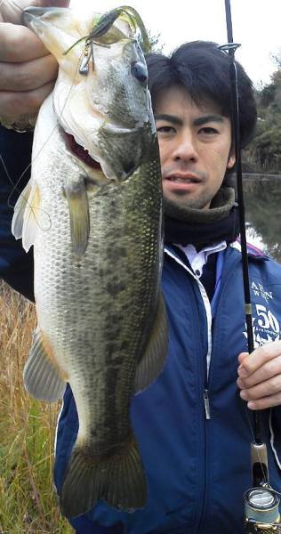 野池で豆ジカ釣れる.jpg