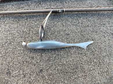 釣れるジグヘッドリグ.jpg