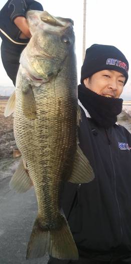 1月の琵琶湖オカッパリで47cm.jpg