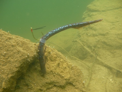 SANY0167.JPG